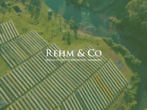 Rehm & Co Startbild